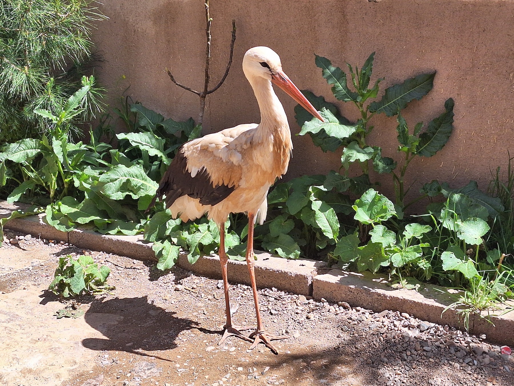 Photos from our Morocco Cycling Holiday
